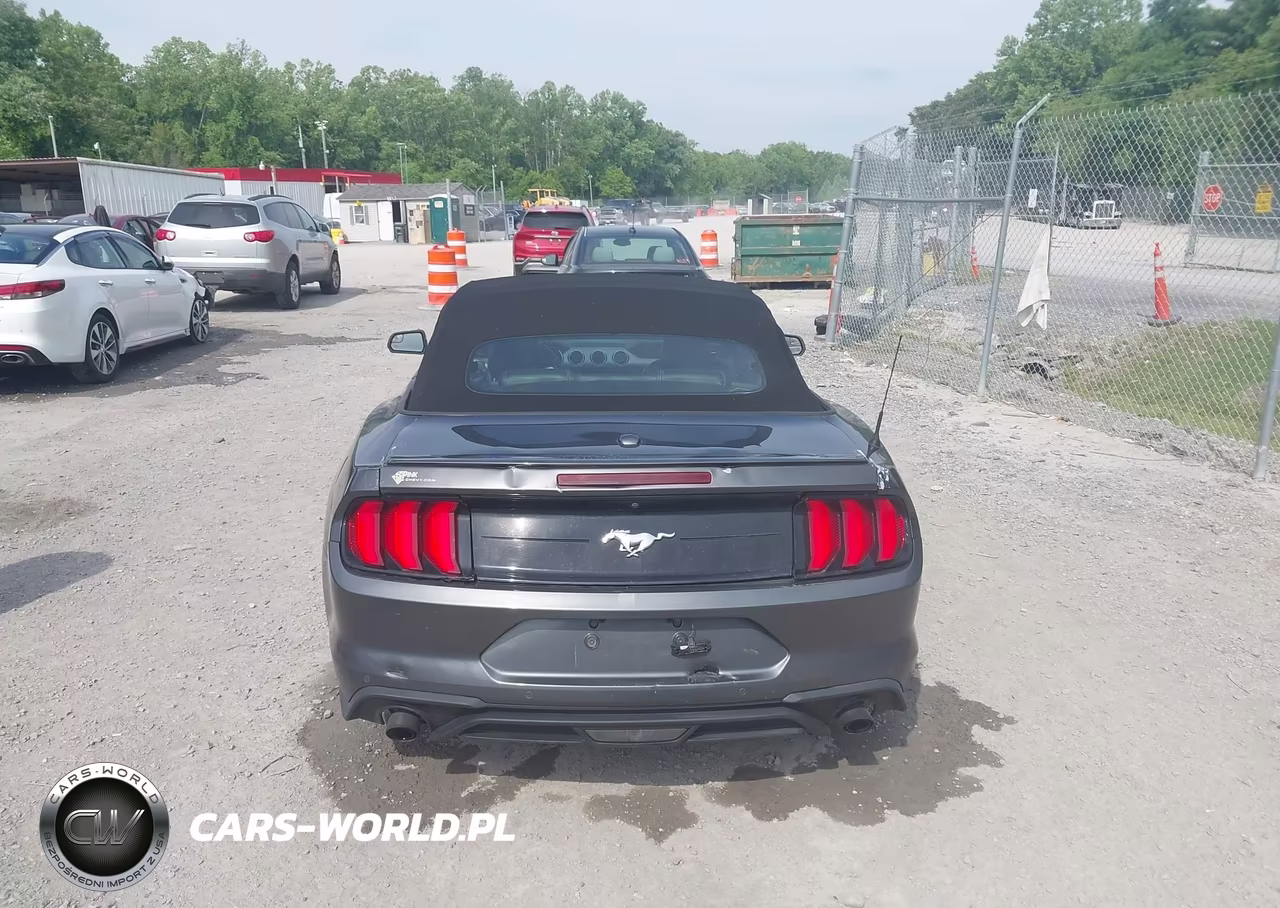 2019 Ford Mustang Ecoboost Premium VIN:1FATP8UH1K5104774 - 16