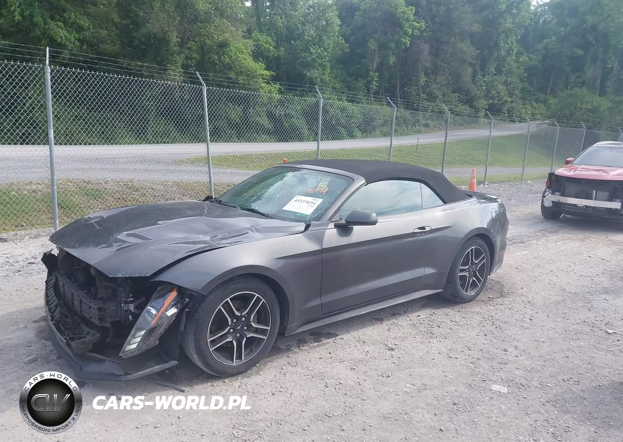 2019 Ford Mustang Ecoboost Premium VIN:1FATP8UH1K5104774 - 2
