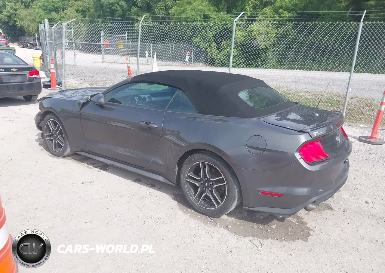 2019 Ford Mustang Ecoboost Premium VIN:1FATP8UH1K5104774 - 3