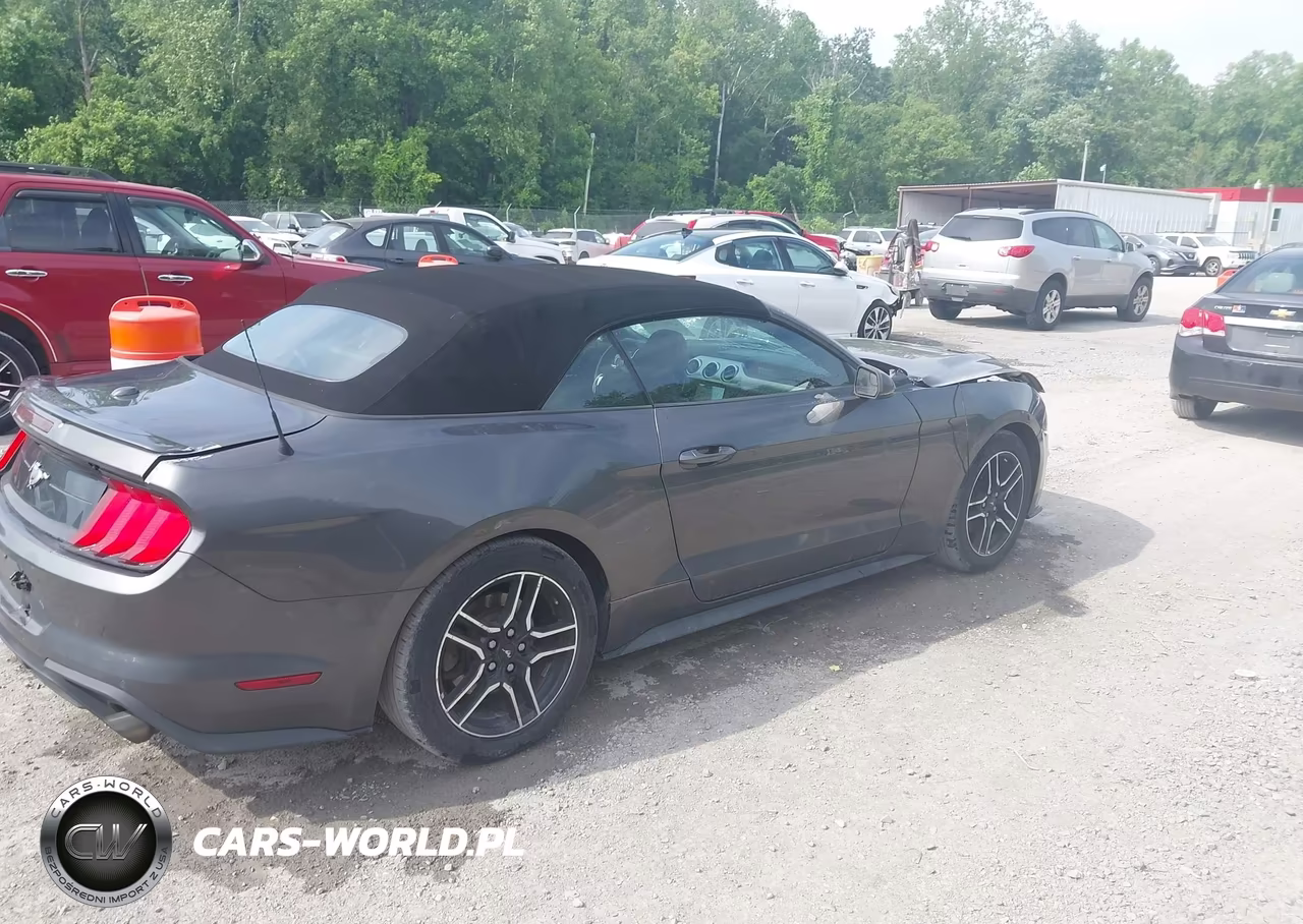 2019 Ford Mustang Ecoboost Premium VIN:1FATP8UH1K5104774 - 4
