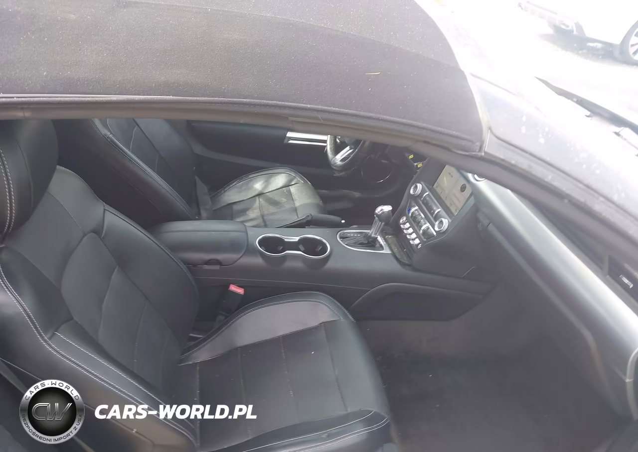 2019 Ford Mustang Ecoboost Premium VIN:1FATP8UH1K5104774 - 5