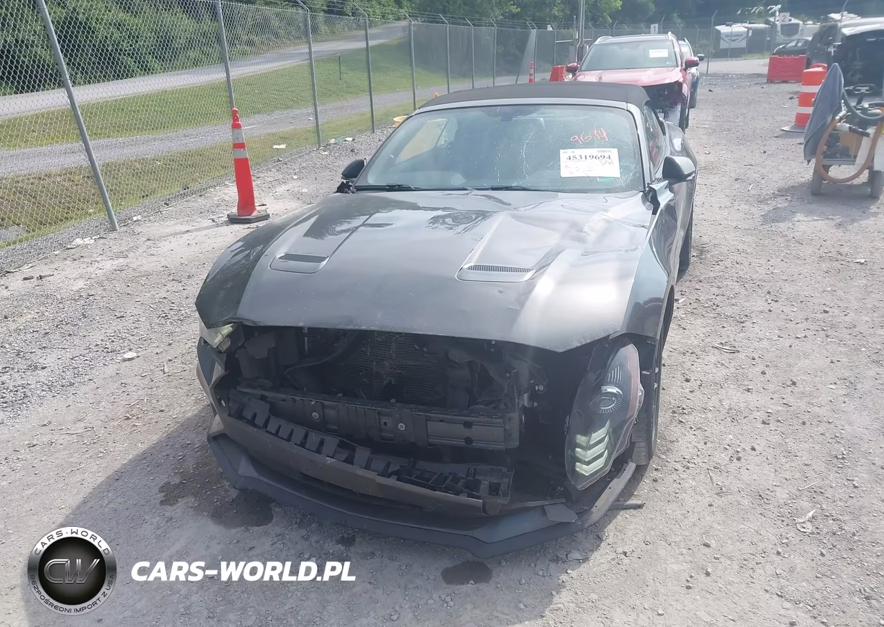 2019 Ford Mustang Ecoboost Premium VIN:1FATP8UH1K5104774 - 6