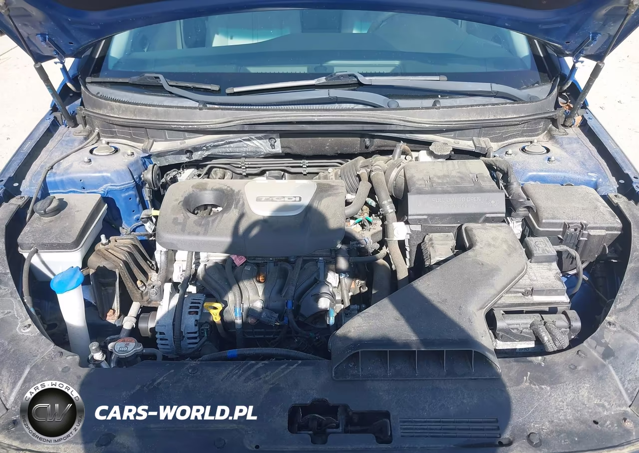 2019 Hyundai Sonata Eco VIN:5NPE24AA5KH774281 - 10