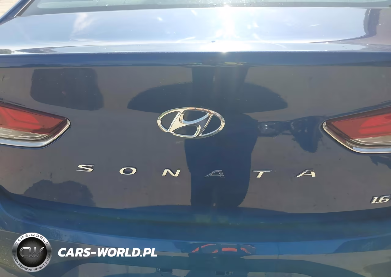 2019 Hyundai Sonata Eco VIN:5NPE24AA5KH774281 - 12