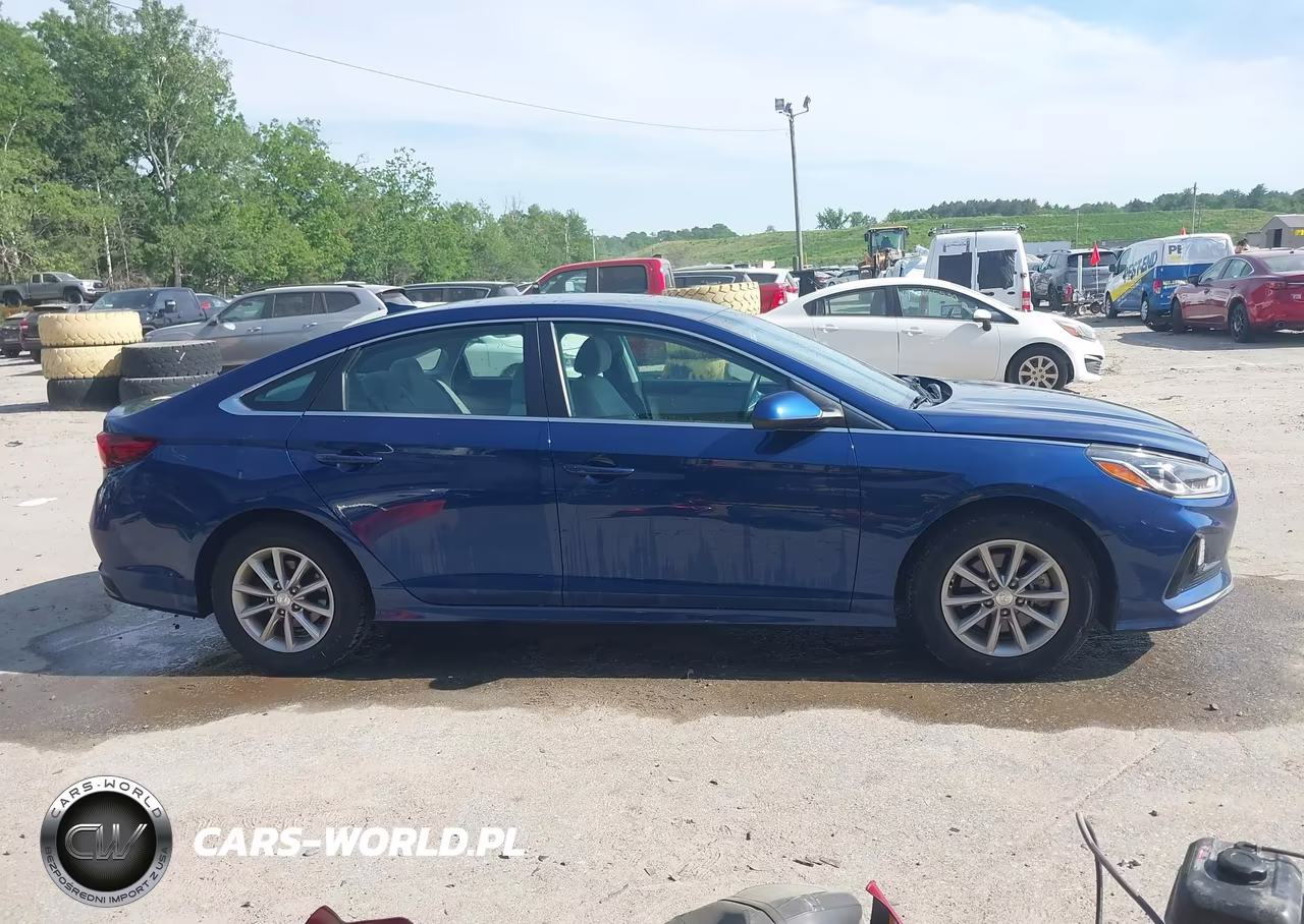 2019 Hyundai Sonata Eco VIN:5NPE24AA5KH774281 - 15