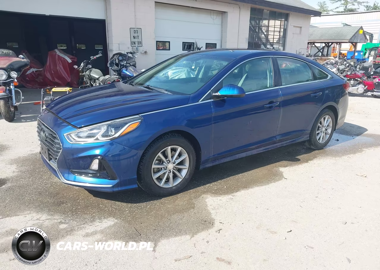 2019 Hyundai Sonata Eco VIN:5NPE24AA5KH774281 - 2
