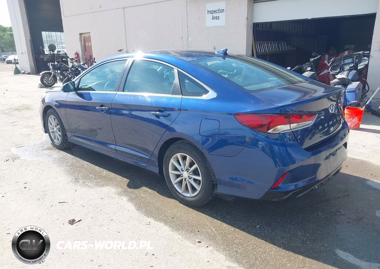 2019 Hyundai Sonata Eco VIN:5NPE24AA5KH774281 - 3