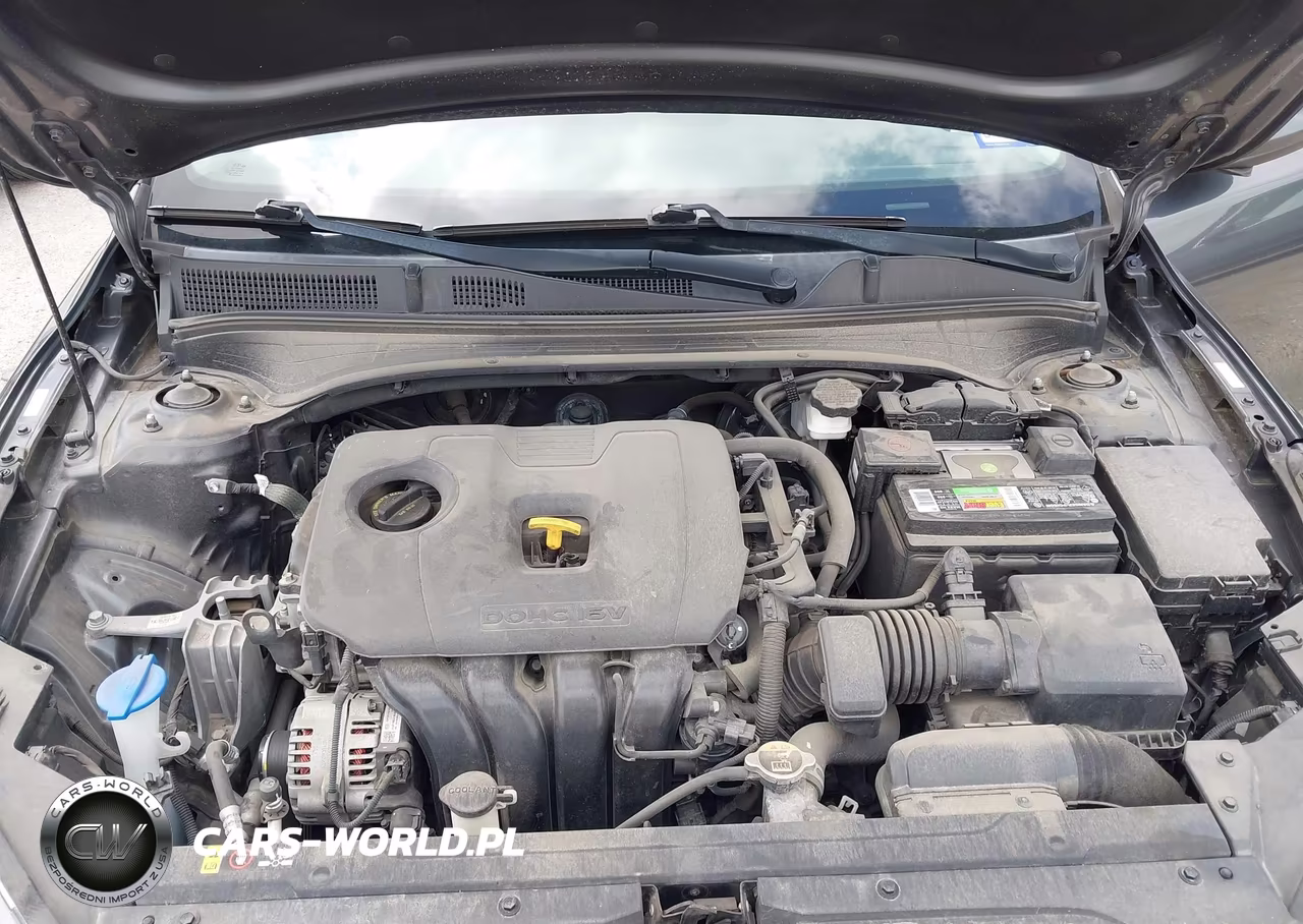 2019 Kia Forte Fe VIN:3KPF24AD8KE034520 - 10