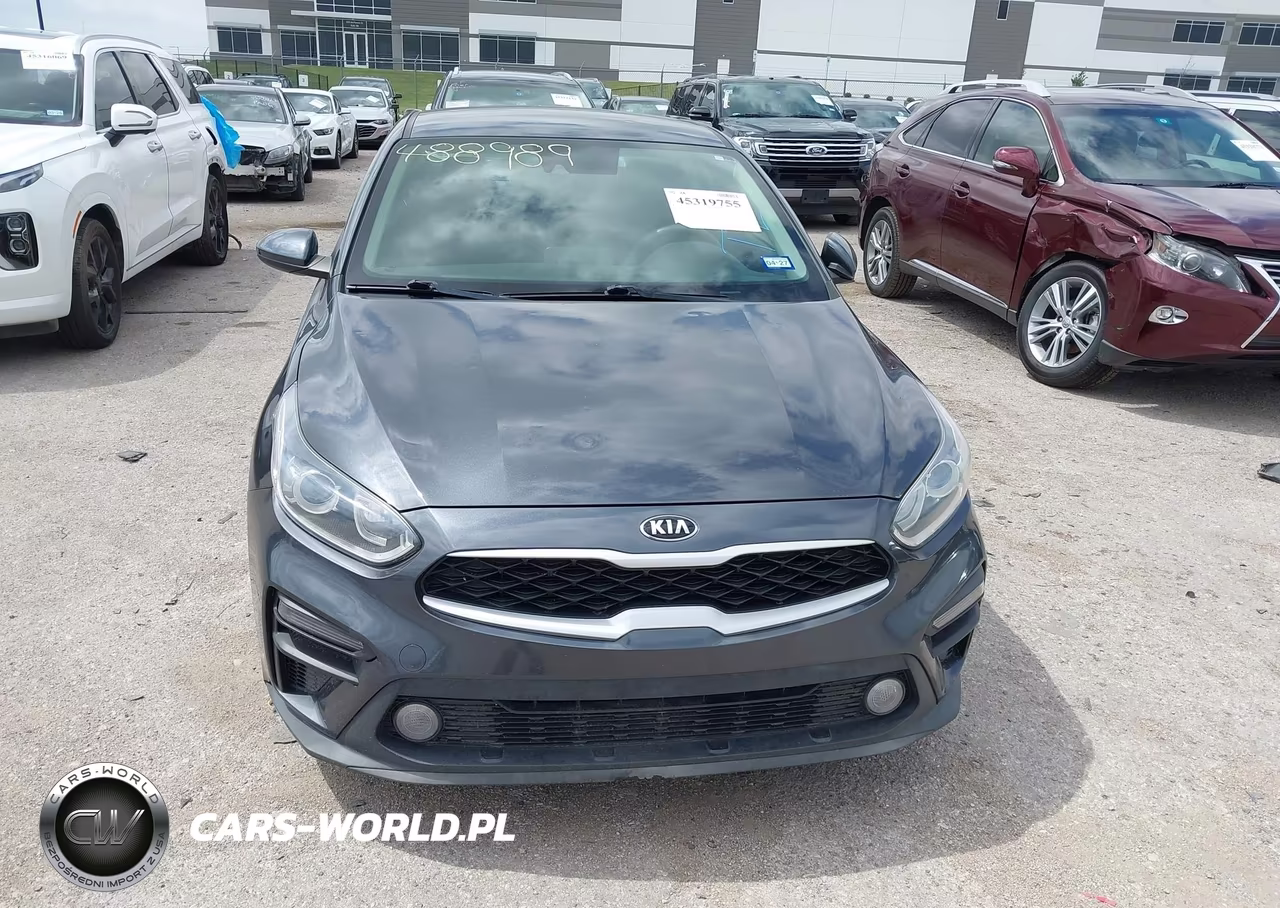 2019 Kia Forte Fe VIN:3KPF24AD8KE034520 - 12