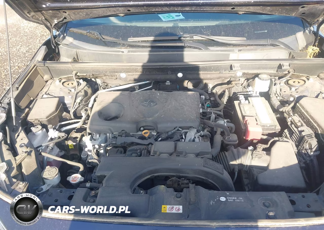 2019 Toyota Rav4 Xle Premium VIN:2T3A1RFV9KW065839 - 10
