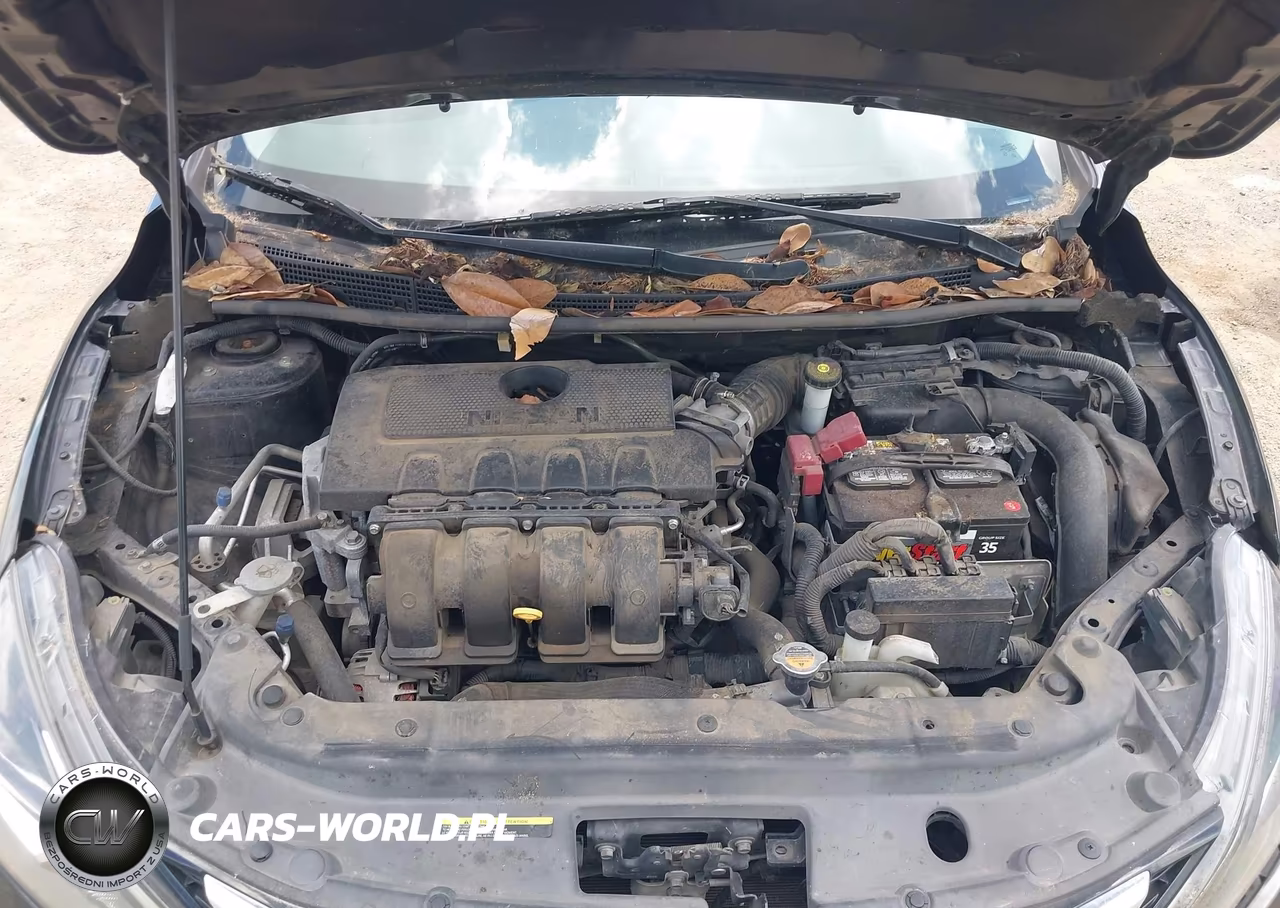 2016 Nissan Sentra Sv VIN:3N1AB7AP4GY313431 - 10