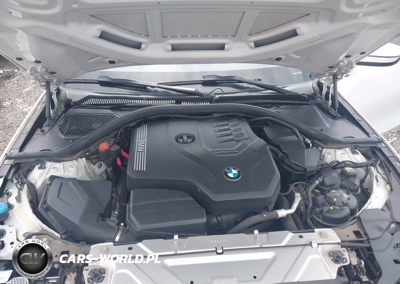 2020 BMW 330I VIN:3MW5R1J04L8B33495 - 10