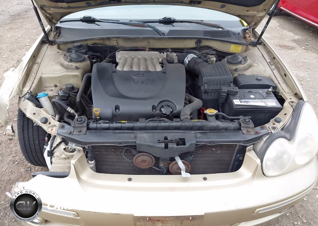 2004 Hyundai Sonata Gls-Lx VIN:KMHWF35H24A018343 - 10