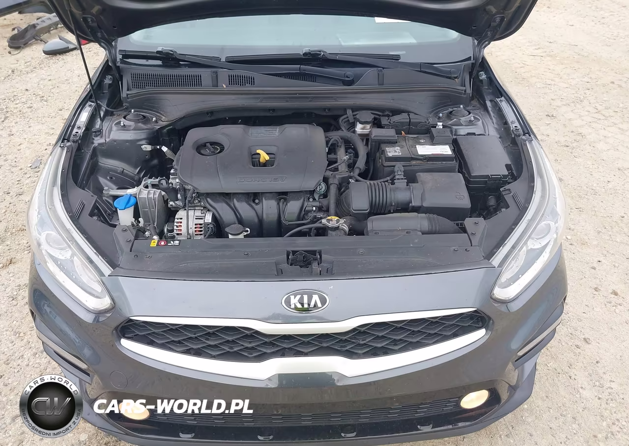 2020 Kia Forte Lxs VIN:3KPF24AD5LE217827 - 10