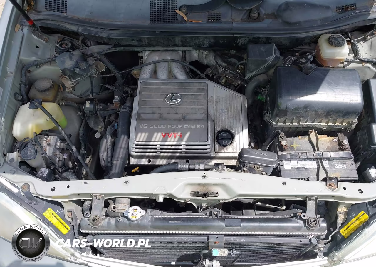 2002 Lexus Rx 300 VIN:JTJHF10U920279989 - 10