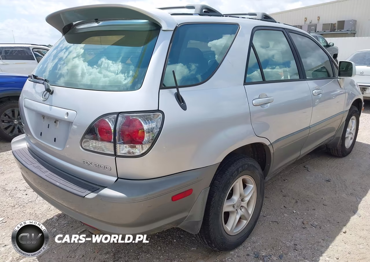 2002 Lexus Rx 300 VIN:JTJHF10U920279989 - 4