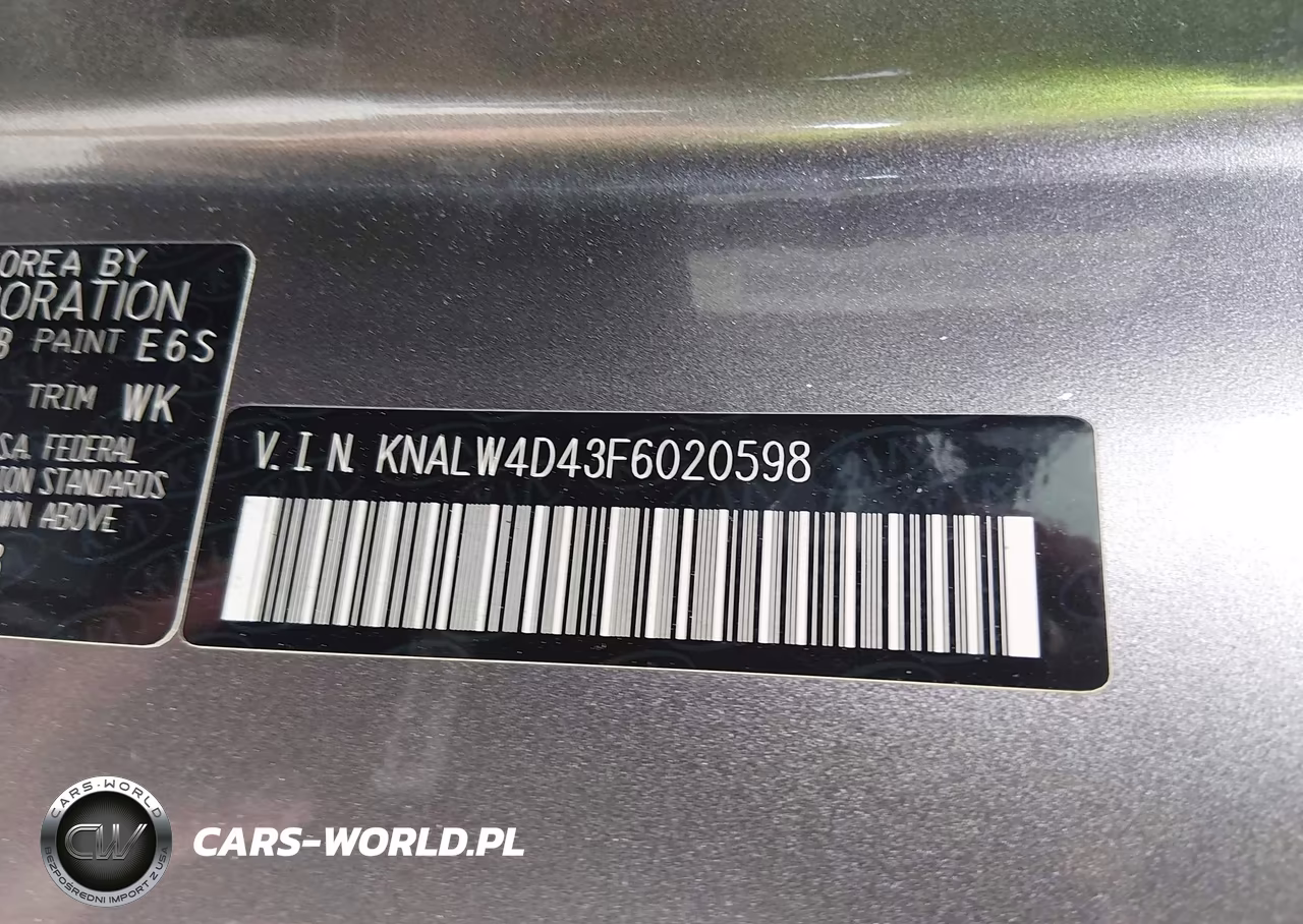 2015 Kia K900 Luxury VIN:KNALW4D43F6020598 - 9