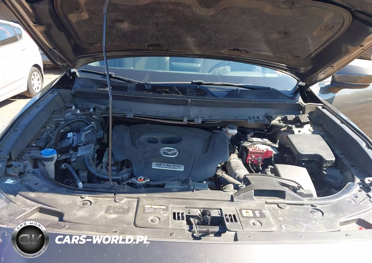 2017 Mazda Cx-9 Grand Touring VIN:JM3TCADY8H0138141 - 10