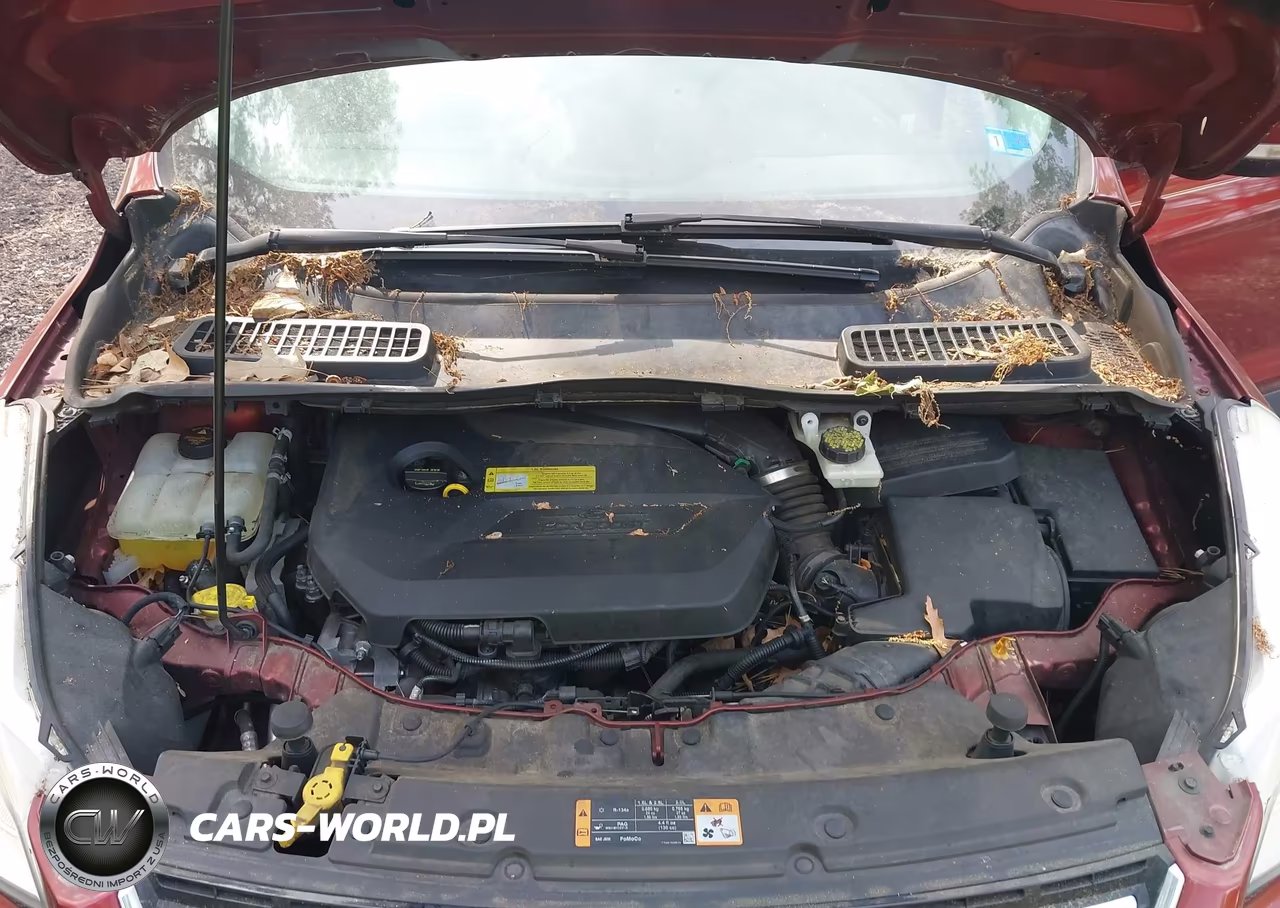 2014 Ford Escape Titanium VIN:1FMCU0JXXEUB23913 - 10
