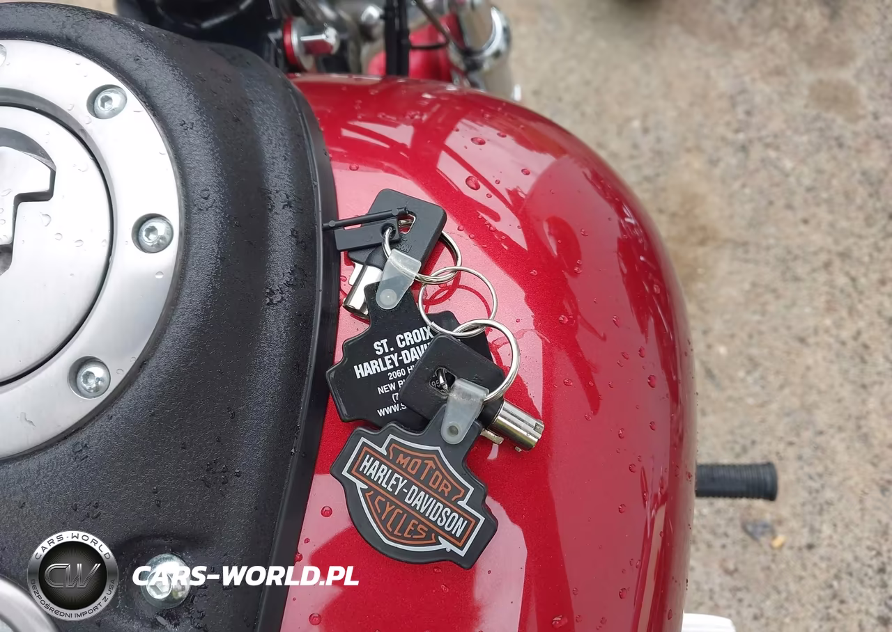 2004 Harley-Davidson Fxd VIN:1HD1GHV1X4K311959 - 11