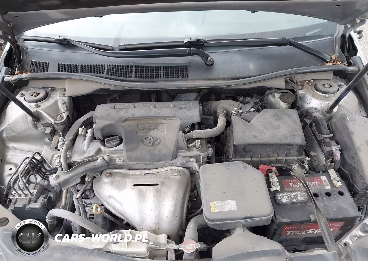 2016 Toyota Camry Se VIN:4T1BF1FK1GU195479 - 10