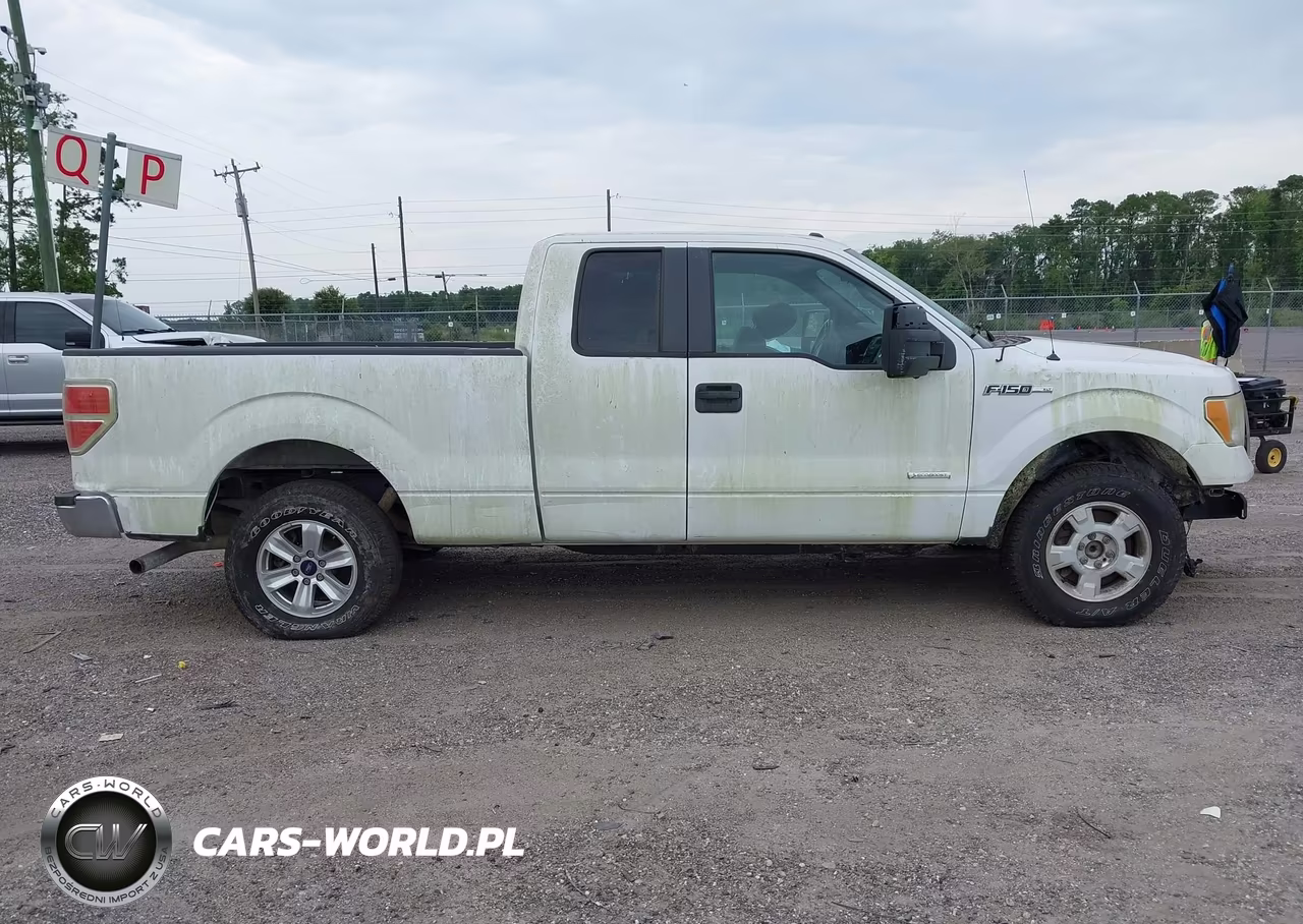2012 Ford F-150 Xlt VIN:1FTFX1CT6CFB91765 - 13