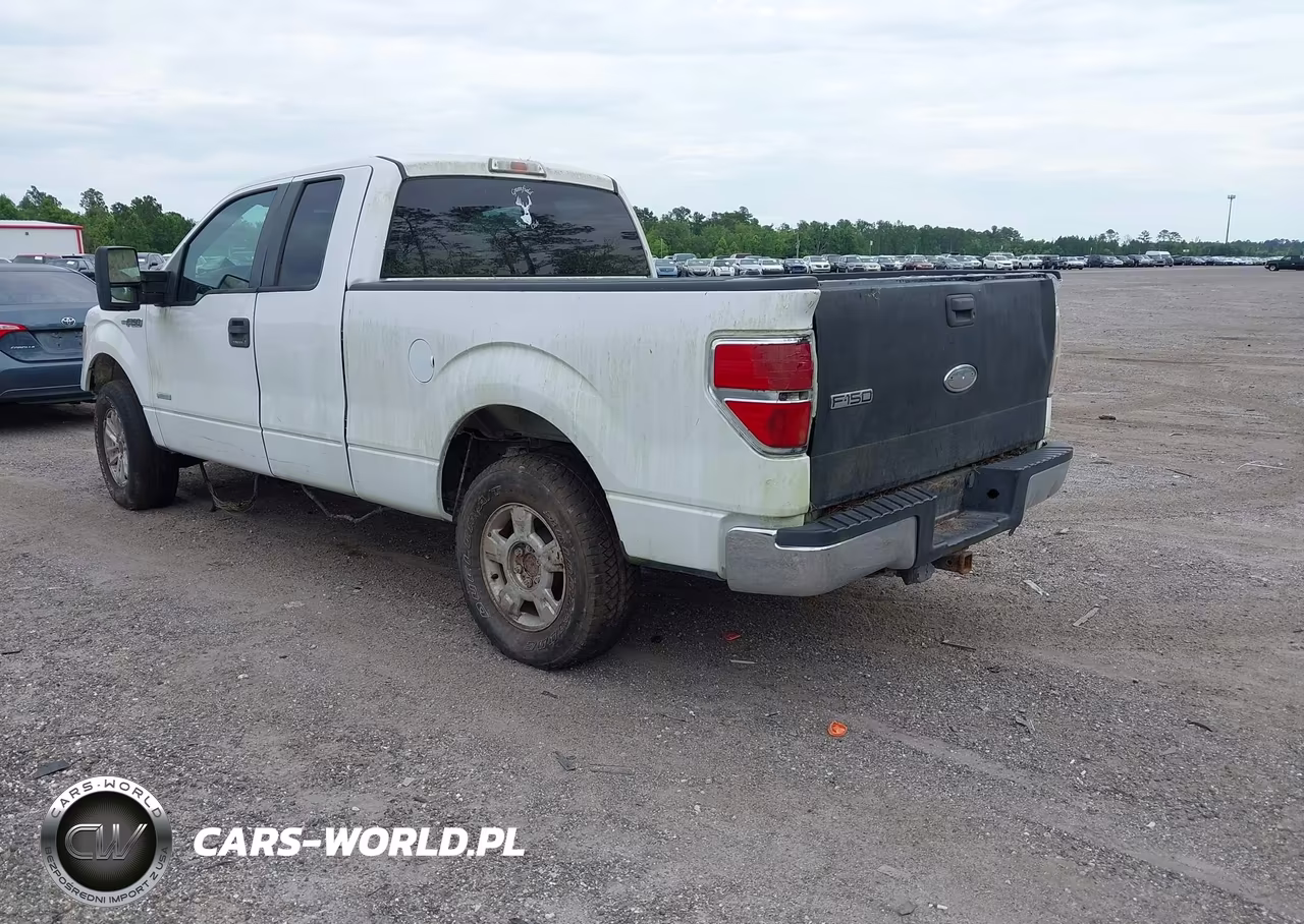 2012 Ford F-150 Xlt VIN:1FTFX1CT6CFB91765 - 3
