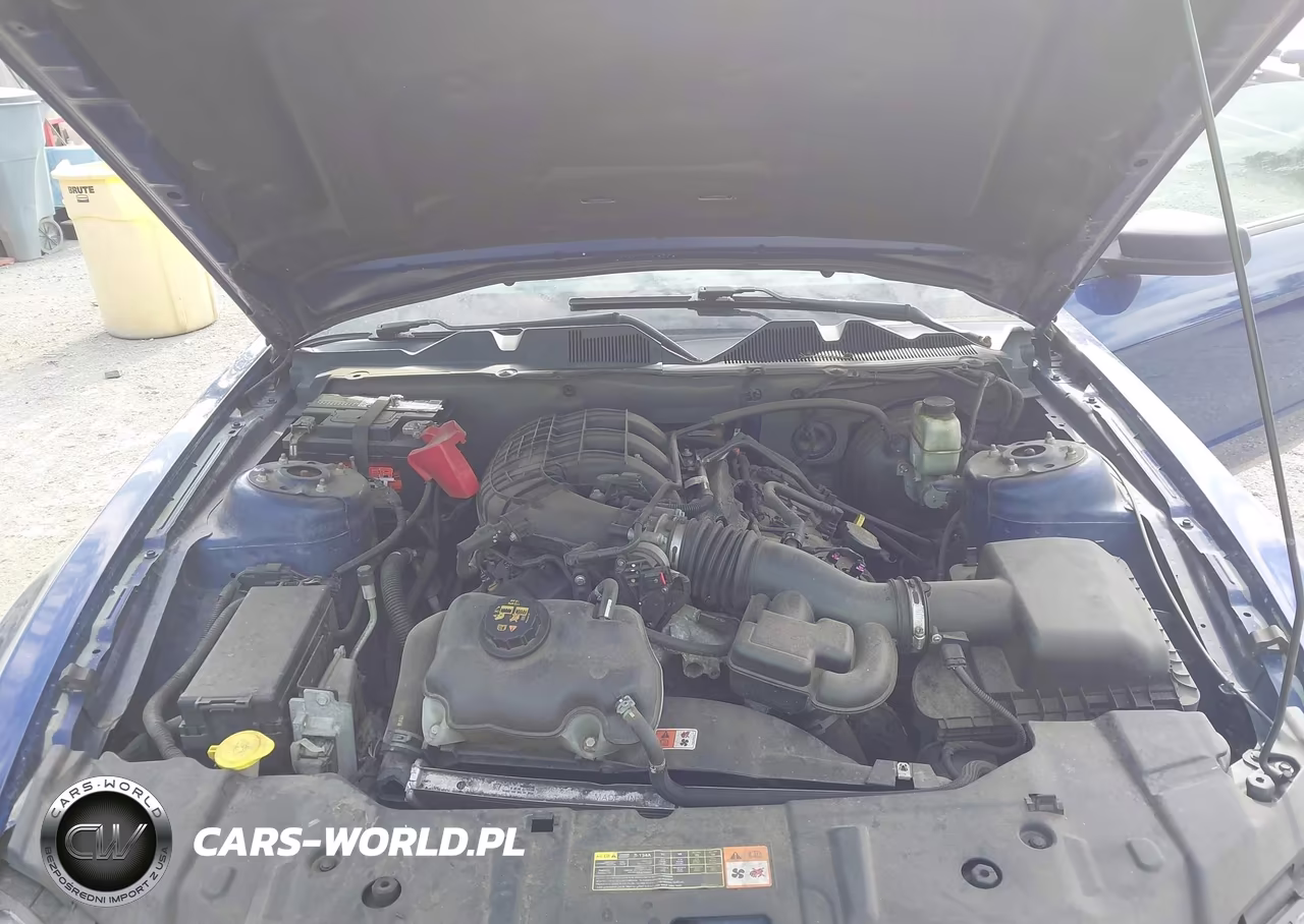 2014 Ford Mustang V6 VIN:1ZVBP8AM1E5244607 - 10