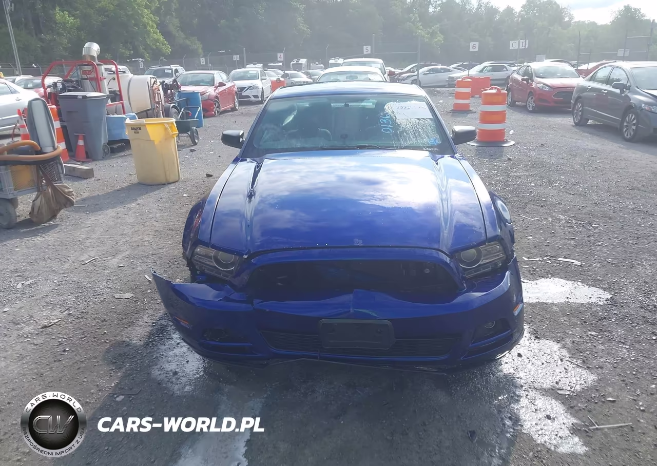 2014 Ford Mustang V6 VIN:1ZVBP8AM1E5244607 - 12
