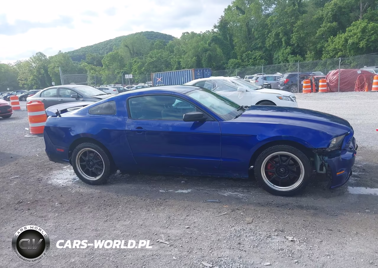 2014 Ford Mustang V6 VIN:1ZVBP8AM1E5244607 - 13