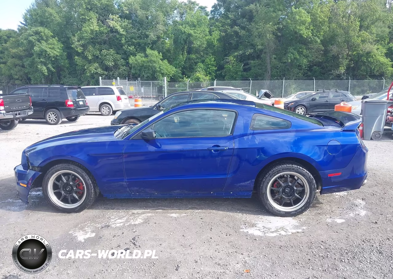 2014 Ford Mustang V6 VIN:1ZVBP8AM1E5244607 - 14