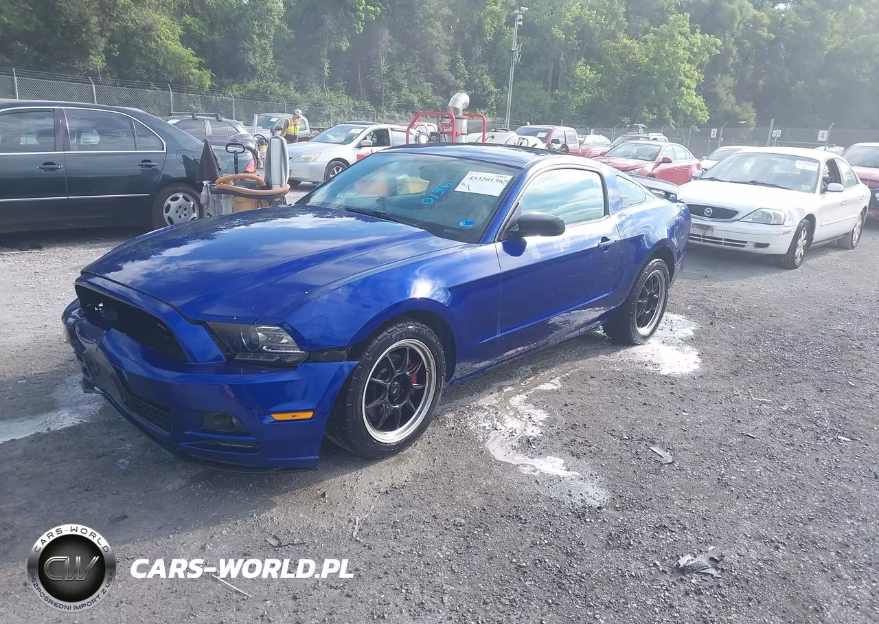 2014 Ford Mustang V6 VIN:1ZVBP8AM1E5244607 - 2