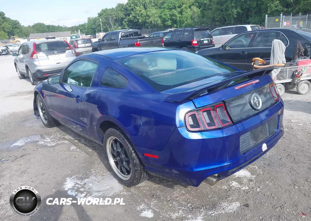 2014 Ford Mustang V6 VIN:1ZVBP8AM1E5244607 - 3