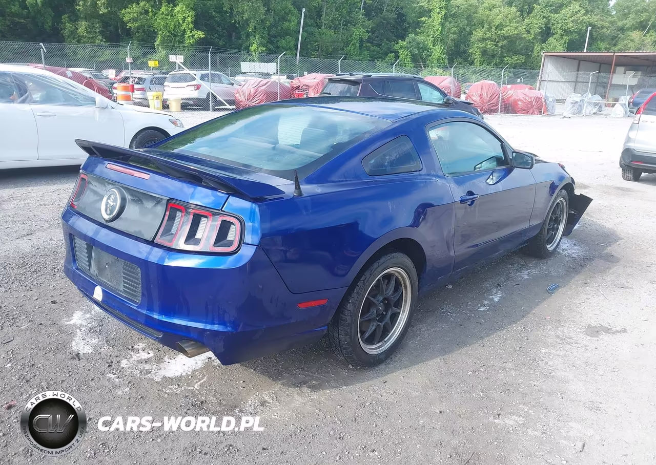 2014 Ford Mustang V6 VIN:1ZVBP8AM1E5244607 - 4