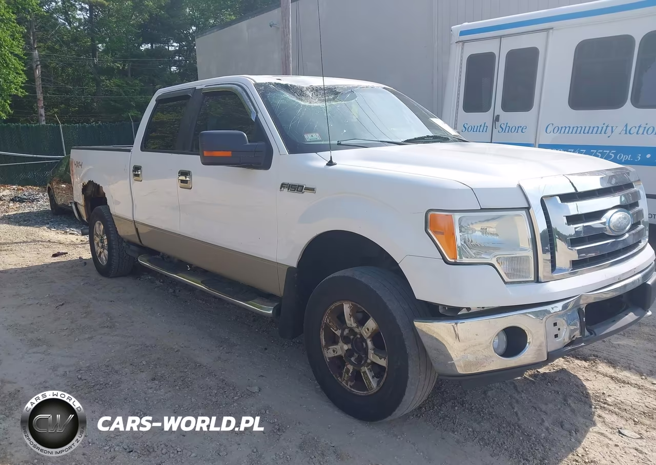 2009 Ford F-150 Fx4-King Ranch-Lariat-Platinum-Xl-Xlt