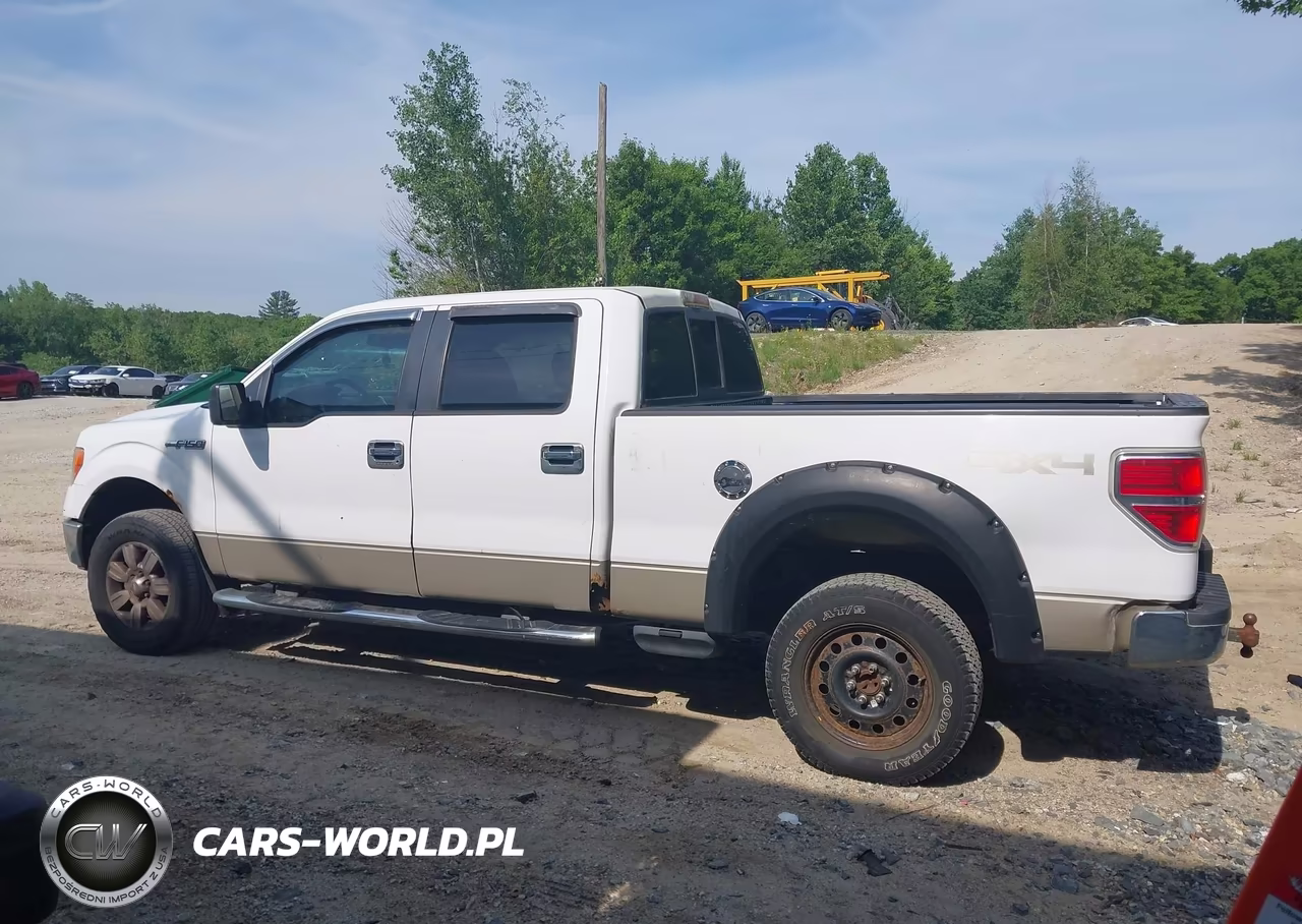 2009 Ford F-150 Fx4-King Ranch-Lariat-Platinum-Xl-Xlt VIN:1FTPW14V29FB23530 - 14