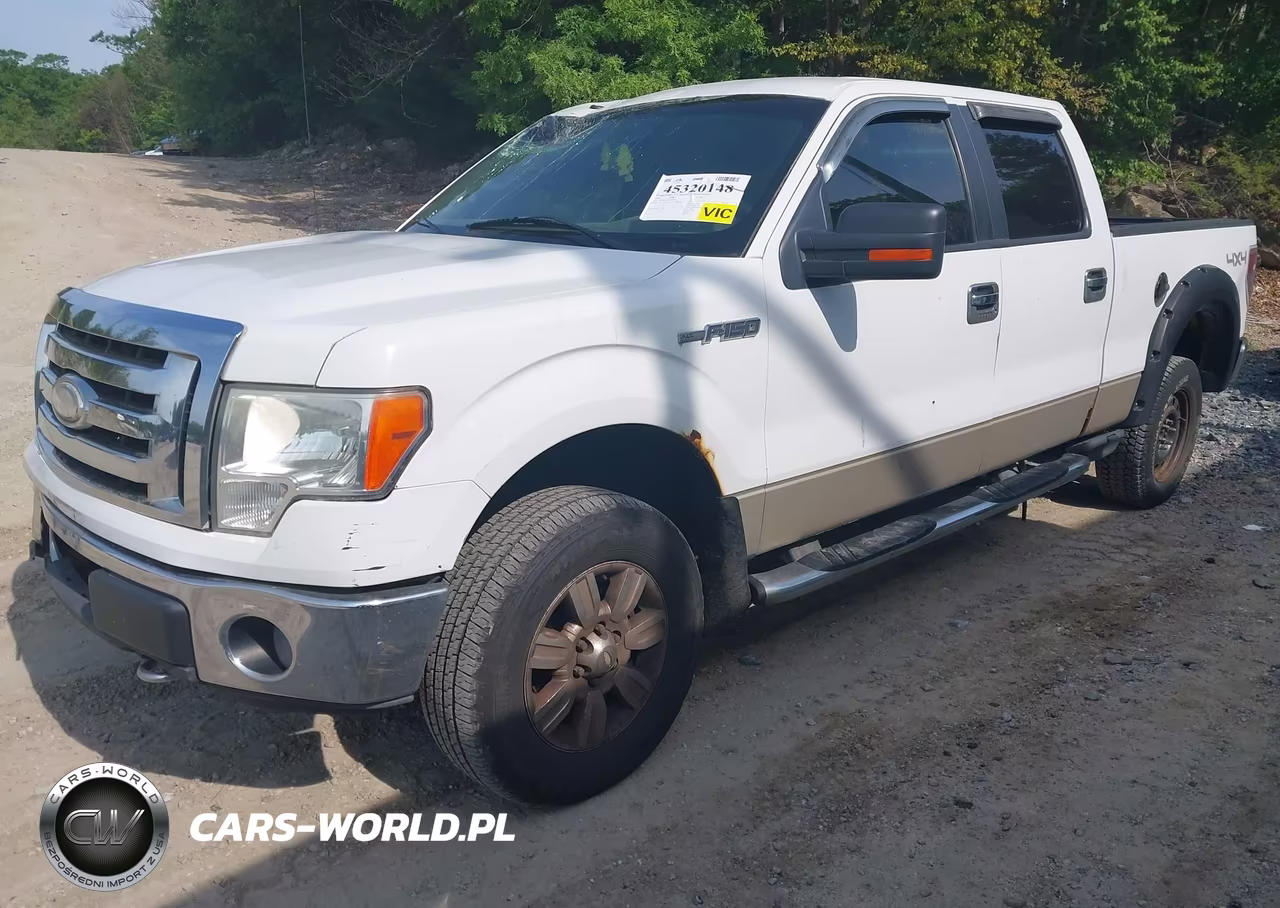 2009 Ford F-150 Fx4-King Ranch-Lariat-Platinum-Xl-Xlt VIN:1FTPW14V29FB23530 - 2