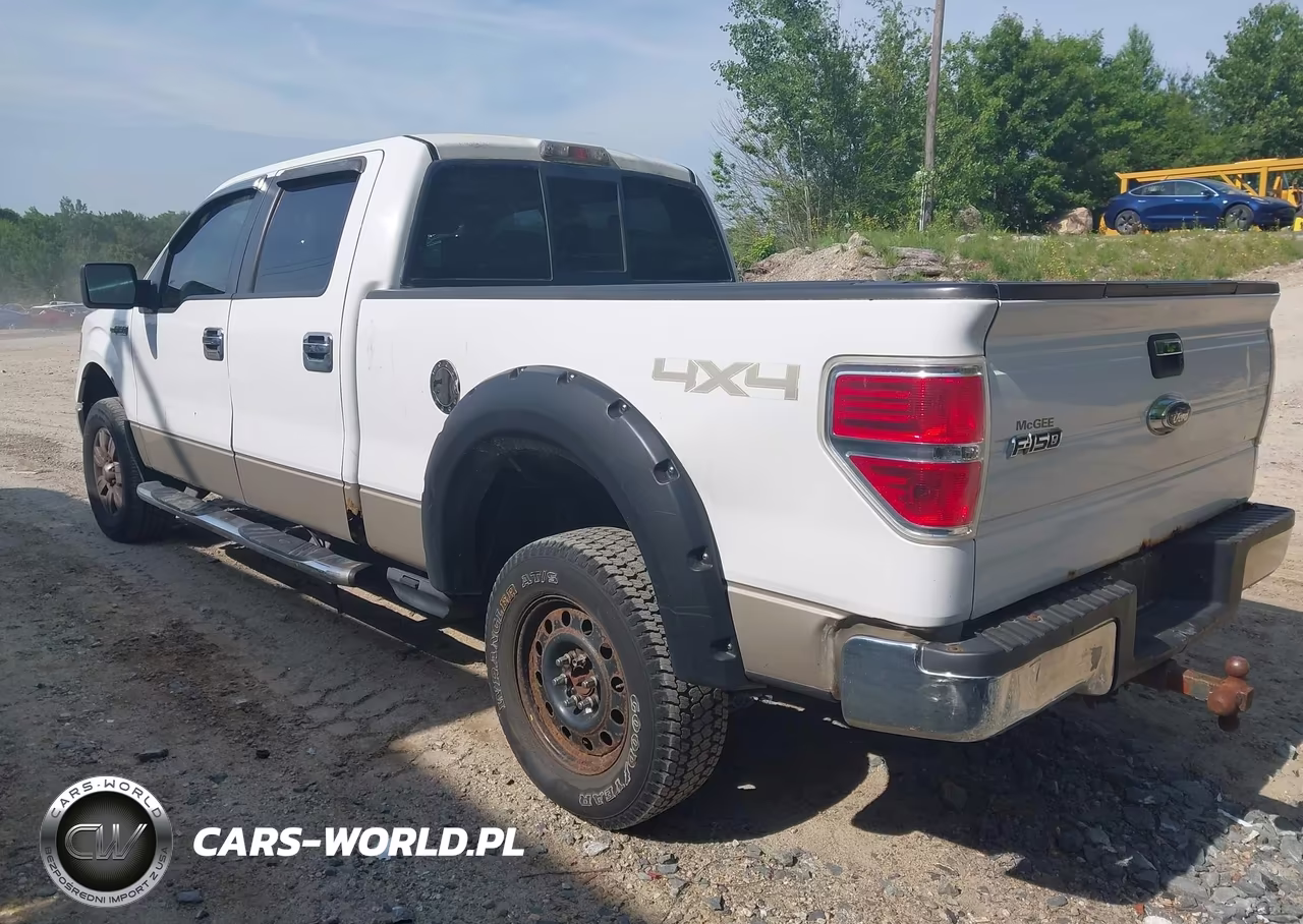 2009 Ford F-150 Fx4-King Ranch-Lariat-Platinum-Xl-Xlt VIN:1FTPW14V29FB23530 - 3