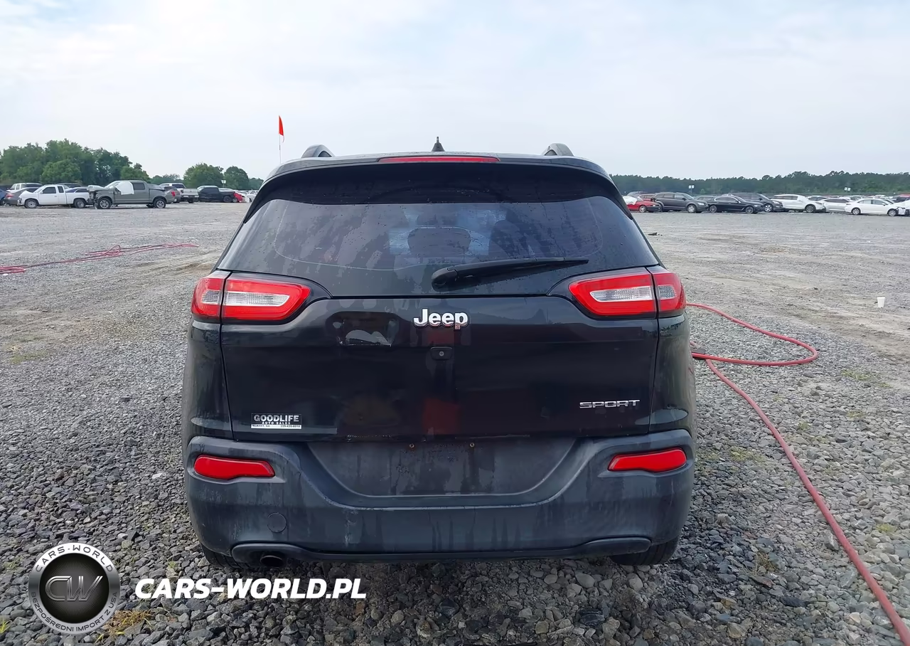 2016 Jeep Cherokee Sport VIN:1C4PJLAB1GW160778 - 16