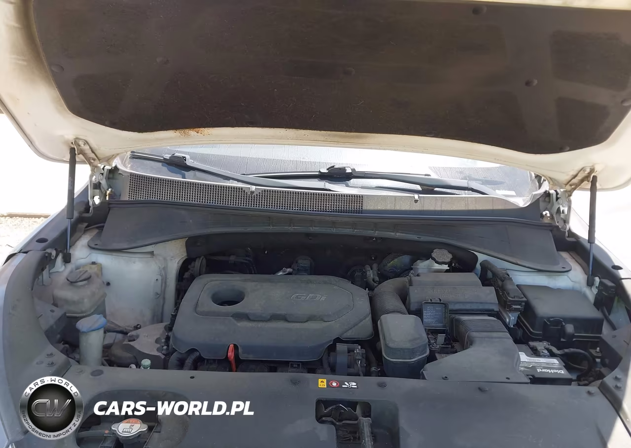 2018 Kia Sorento 2.4L Lx VIN:5XYPG4A39JG344500 - 10