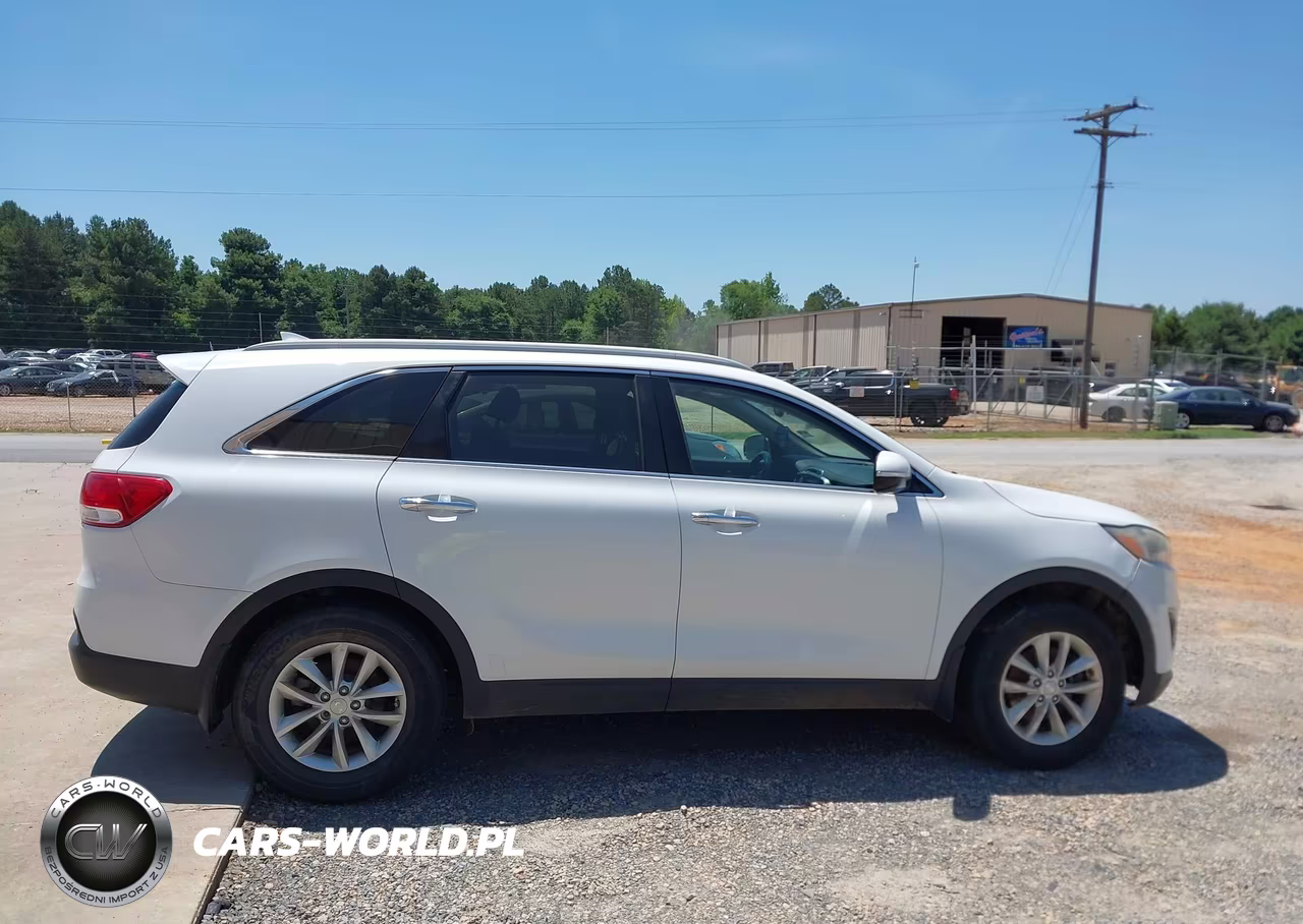 2018 Kia Sorento 2.4L Lx VIN:5XYPG4A39JG344500 - 13