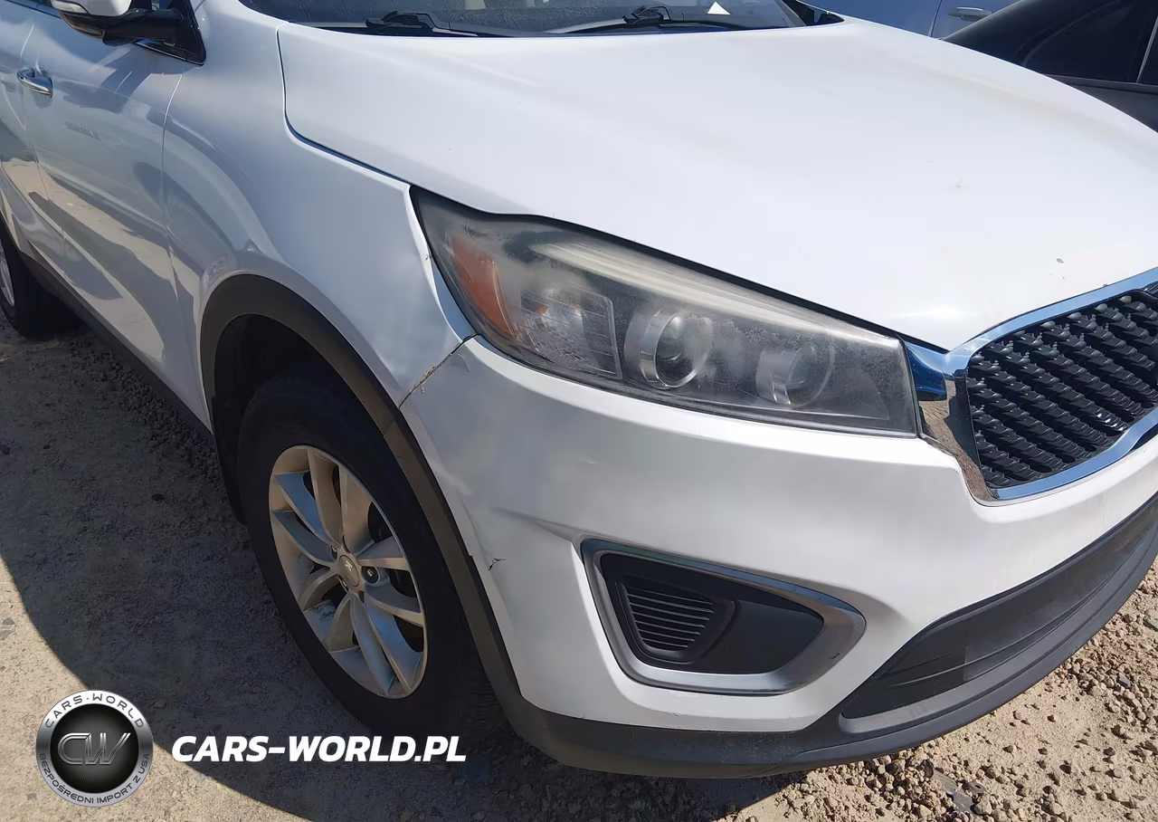 2018 Kia Sorento 2.4L Lx VIN:5XYPG4A39JG344500 - 17
