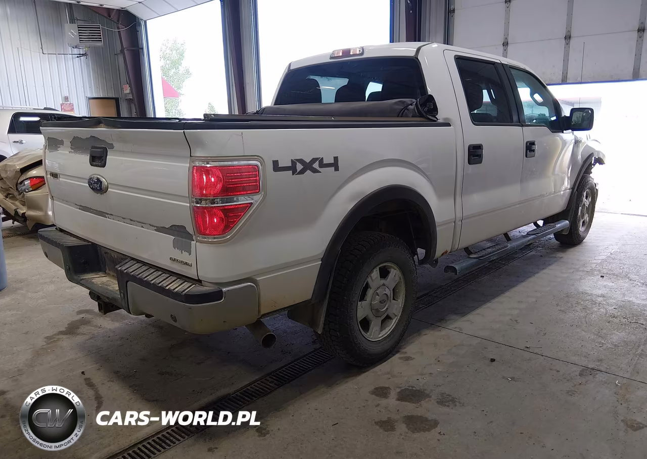 2011 Ford F-150 Xlt VIN:1FTFW1EF1BKD58615 - 4
