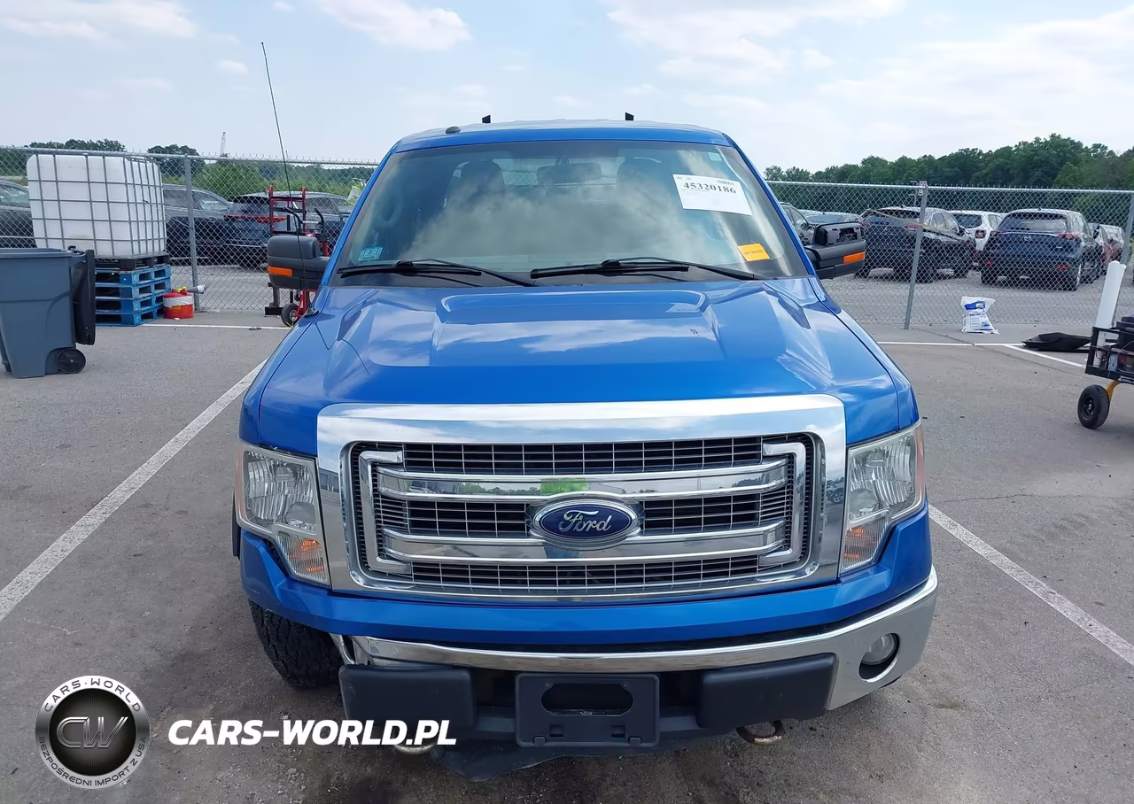 2013 Ford F-150 Xlt VIN:1FTFW1EF8DFC91460 - 12
