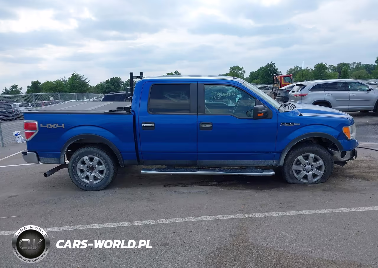 2013 Ford F-150 Xlt VIN:1FTFW1EF8DFC91460 - 13