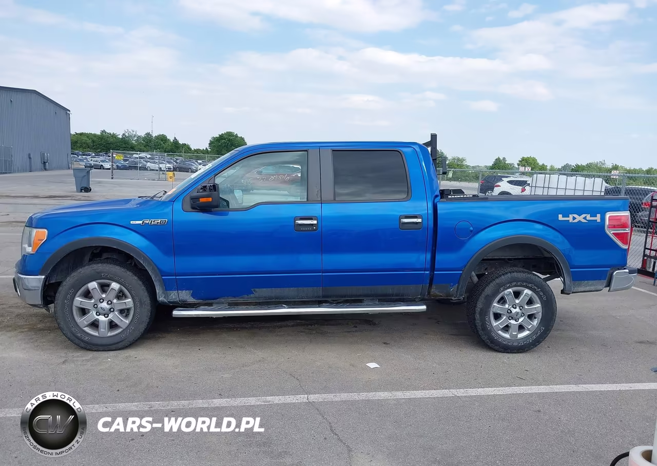 2013 Ford F-150 Xlt VIN:1FTFW1EF8DFC91460 - 14