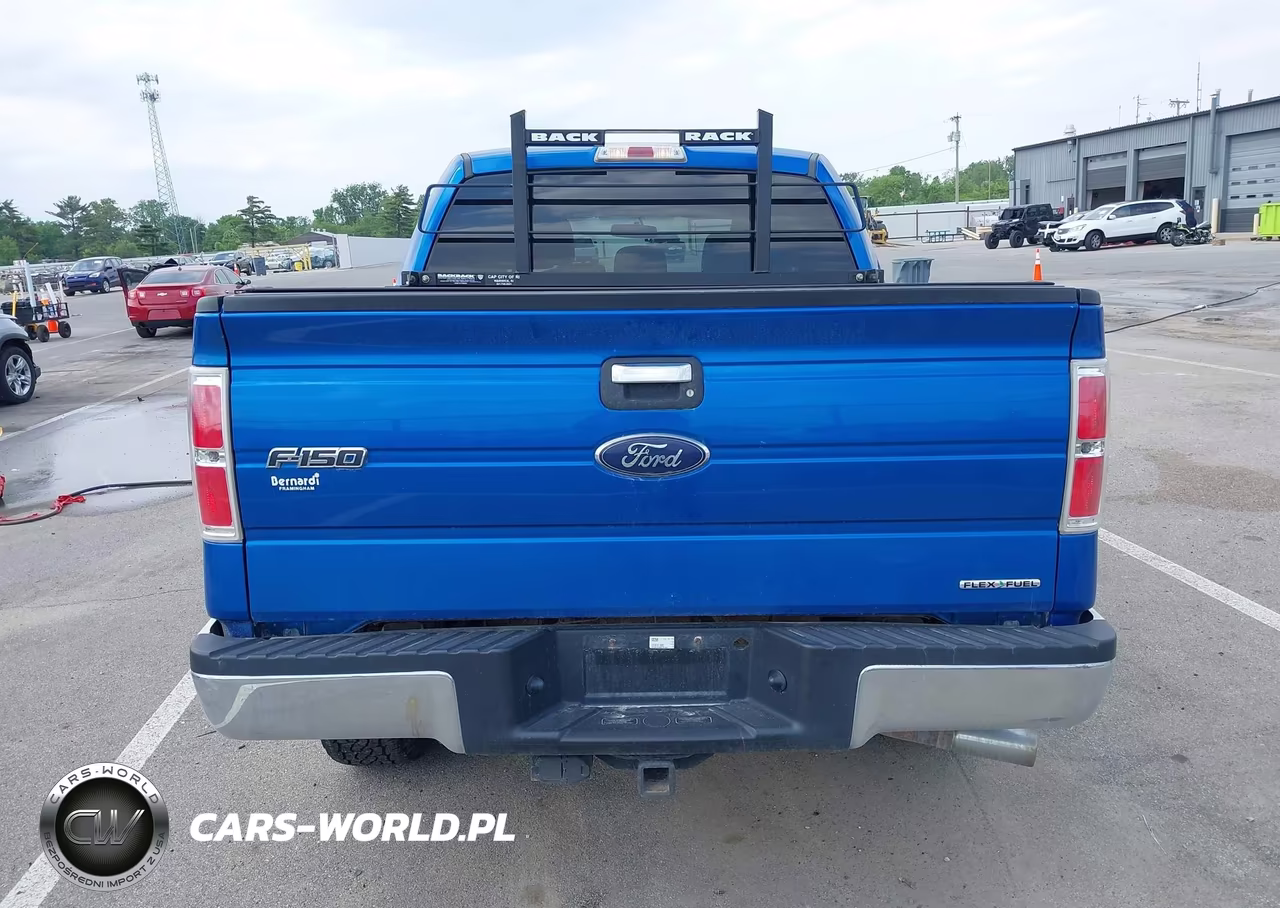 2013 Ford F-150 Xlt VIN:1FTFW1EF8DFC91460 - 16