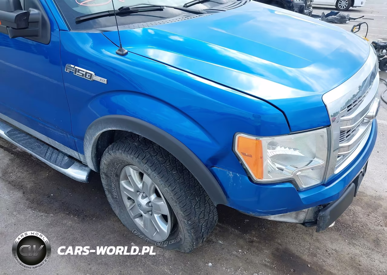 2013 Ford F-150 Xlt VIN:1FTFW1EF8DFC91460 - 6