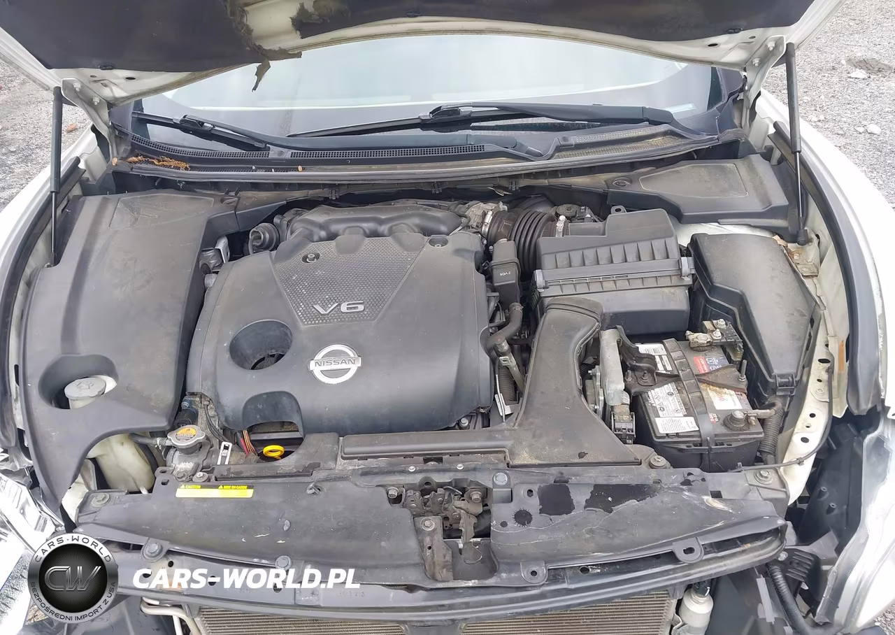 2010 Nissan Maxima 3.5 Sv VIN:1N4AA5APXAC874906 - 10