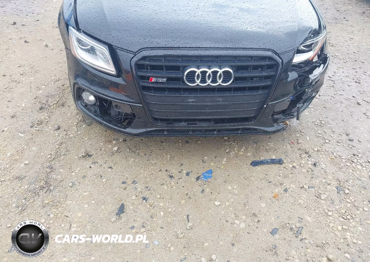 2017 Audi Sq5 3.0T Premium Plus VIN:WA1CCAFP5HA080040 - 20